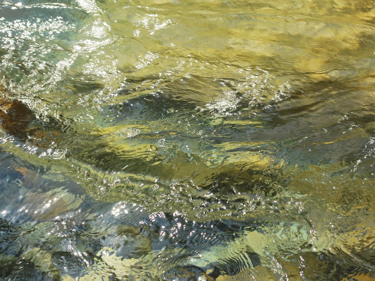 ‘Stuck in Inner Traffic’ – Bandra Film Festival x&nbsp;YouTube